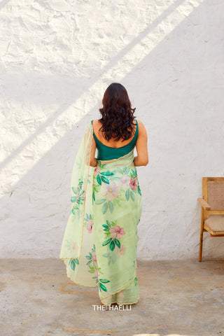 Barkha Mint Organza Silk Saree Barkha Mint Organza Silk Saree