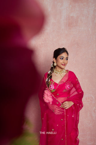 Noor Raani Organza Silk Saree Noor Raani Organza Silk Saree