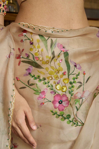 Gul Beige Organza Saree