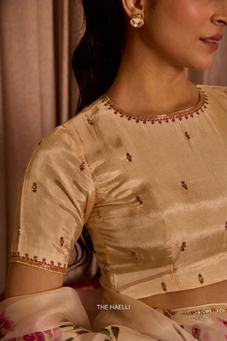 Aaina Beige Uppada Silk Blouse