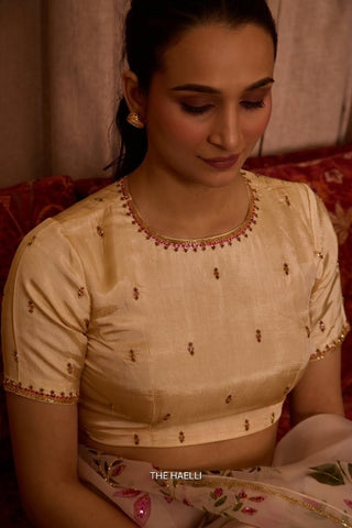 Aaina Beige Uppada Silk Blouse