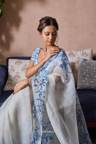 Jaal White Organza Saree