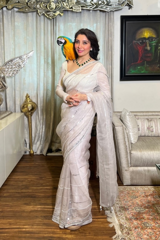 Maya Silver Organza Silk Saree
