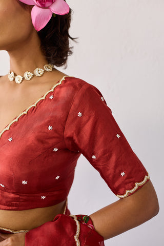 Heera Cherry Uppada Silk Blouse