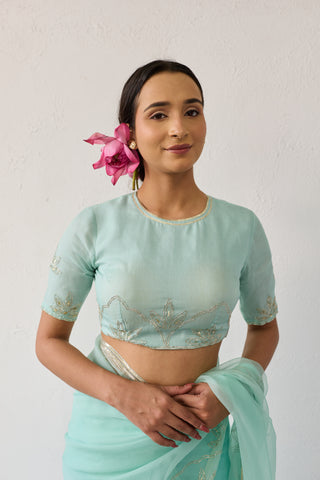 Jalpari Mint Organza Silk Blouse