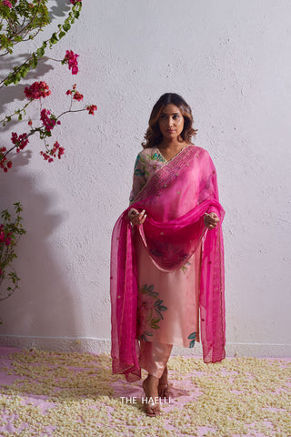 Morni Magenta Organza Silk Dupatta