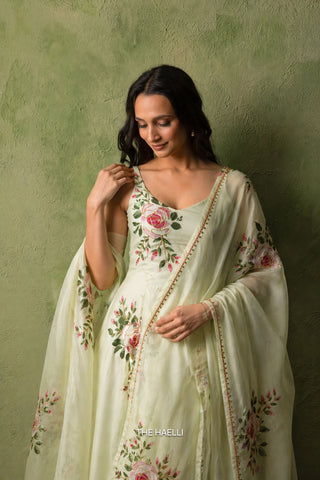 Gulaab Mint Organza Dupatta