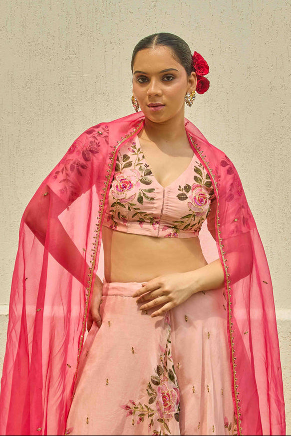 Aaina Raani Organza Silk Dupatta