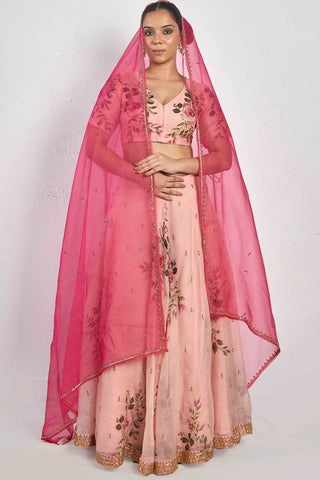 Aaina Raani Organza Silk Dupatta