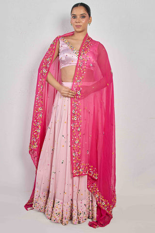 Lily Raani Georgette Dupatta