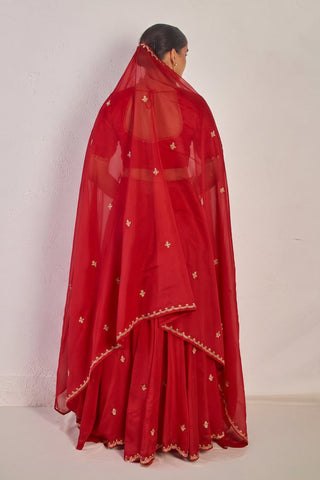Kavi Red Chanderi Mul Dupatta