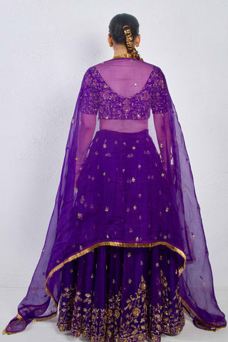 Gher Purple Organza Silk Dupatta
