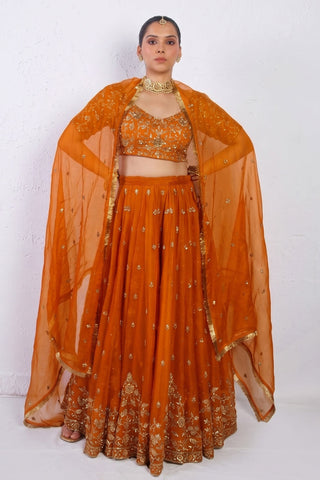 Gher Orange Organza Silk Dupatta