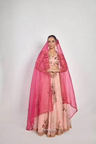 Gulaab Rose Organza Silk Lehenga