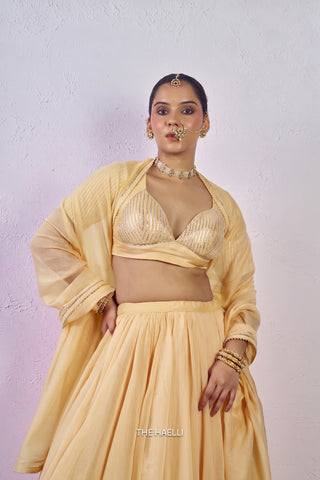 Meena Yellow Mul Chanderi Lehenga