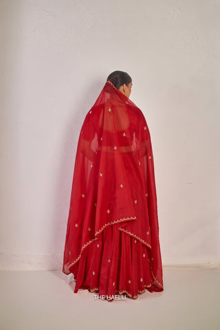 Kavi Red Mul Chanderi Lehenga