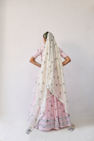 Neera Pink Mul Chanderi Lehenga