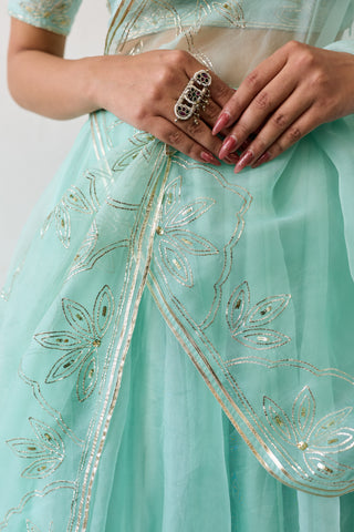 Jalpari Mint Organza Silk Lehenga