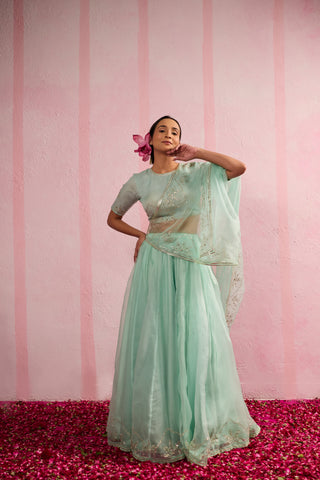 Jalpari Mint Organza Silk Lehenga
