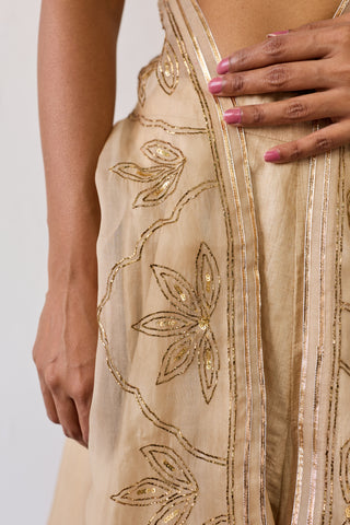 Jalpari Beige Tussar Silk Lehenga