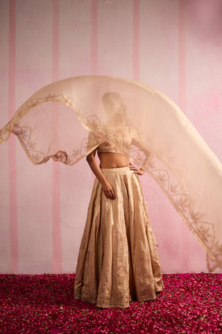 Jalpari Beige Tussar Silk Lehenga
