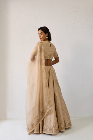 Jalpari Beige Tussar Silk Lehenga