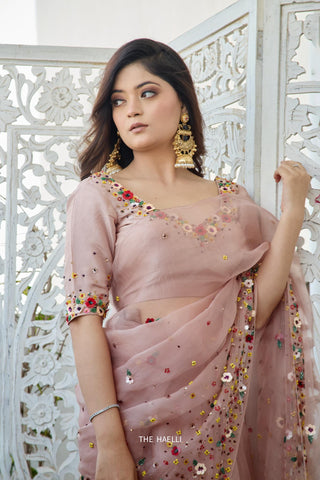 Lily Tan Organza Saree