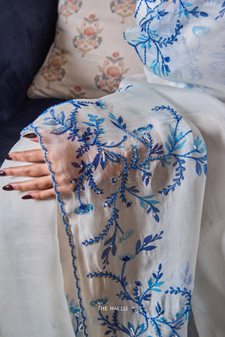 Jaal White Organza Saree