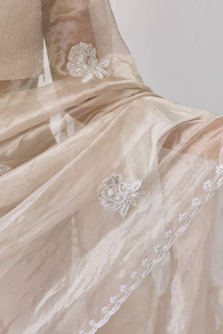 Hoor Silver Chiffon Silk Saree