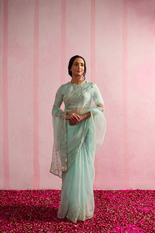 Jalpari Mint Organza Silk Saree