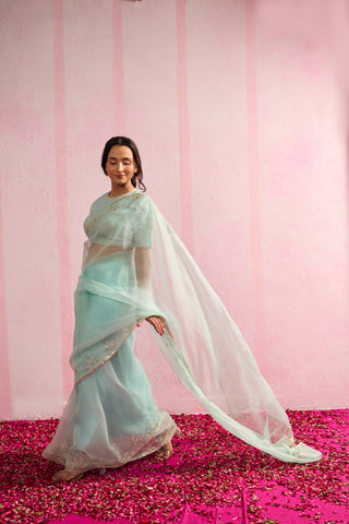 Jalpari Mint Organza Silk Saree