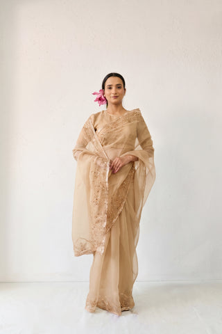 Jalpari Beige Tussar Silk Saree