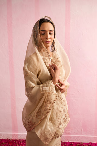 Jalpari Beige Tussar Silk Saree