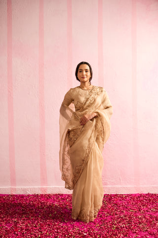 Jalpari Beige Tussar Silk Saree