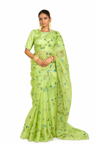 Bluebell Pistachio Organza Silk Saree